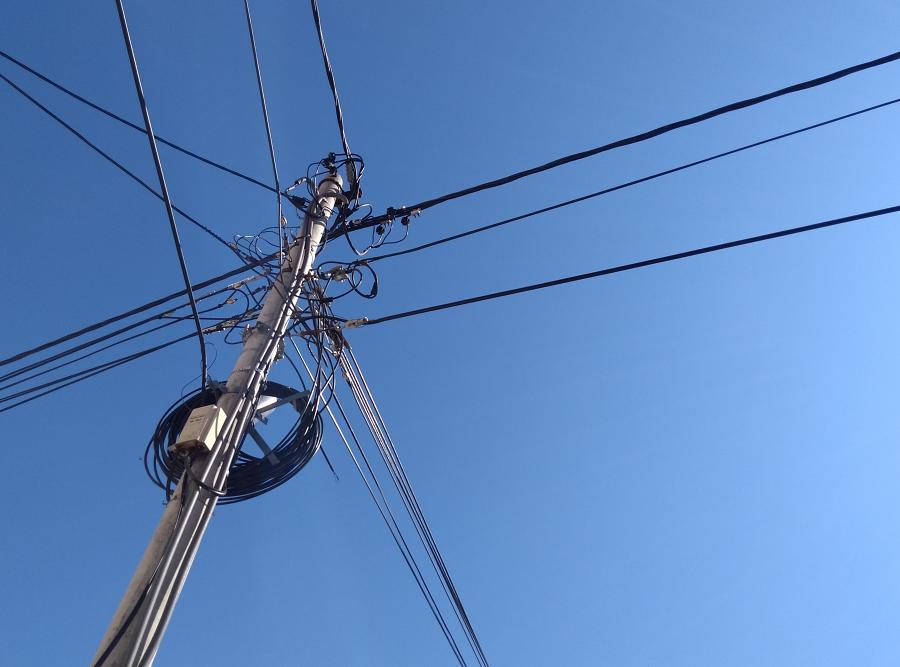 Hardwired connections in the brain