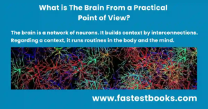 What is the brain from a practical point of view?