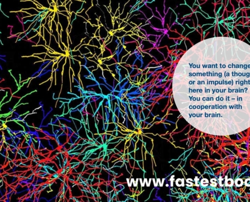 Change Your Brain