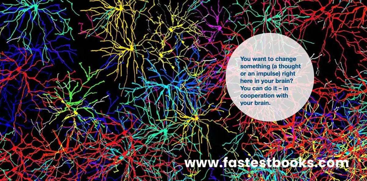 Change Your Brain – similar to 
